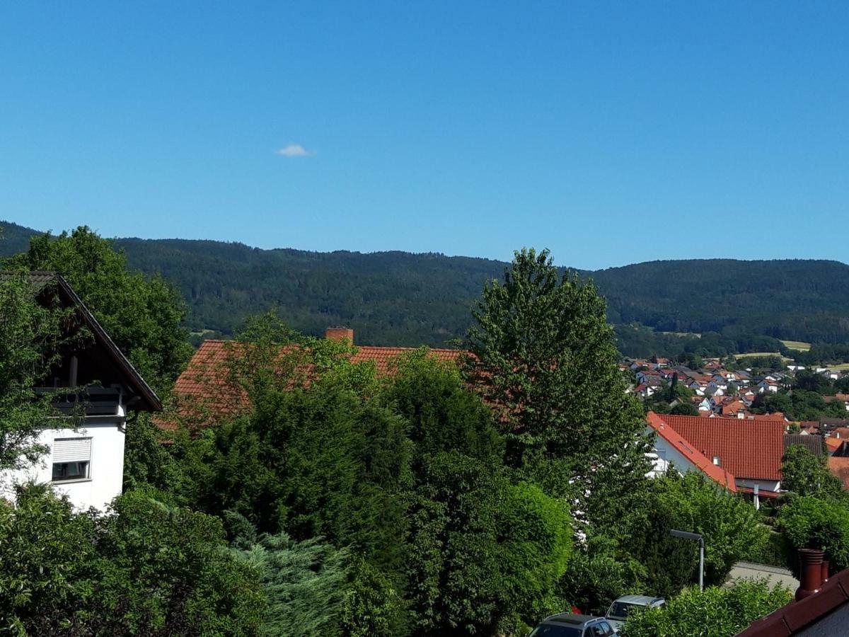 Ferienwohnung Trommblick - Natur Pur - Rimbach Im Odenwald Bagian luar foto